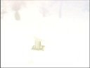 wire daisies - never meant to hurt you
directed by victor blanke 
production company: outside line
� 2008 emi / transistor project / mrv

**this video and song were part of the international efforts of global cool