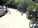 salto Robert (foromtb)