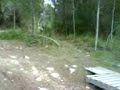 saltillos en cala agulla!