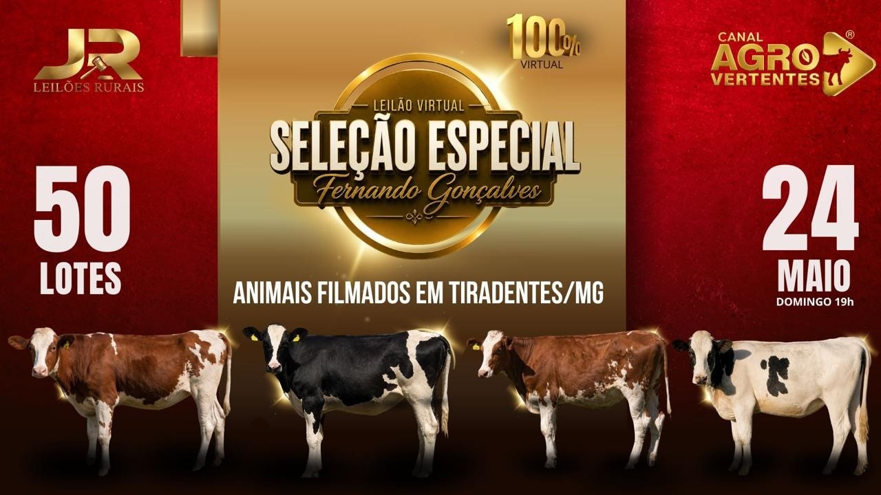 LEILÃO VIRTUAL SELEÇÃO ESPECIAL - FERNANDO GONÇALVES - SÃO JOÃO DEL REI/MG - 24/05/2026