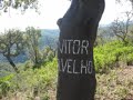 Barranco Velho