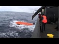 Whale-Wars-Best-of-S