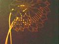 Mirrorball