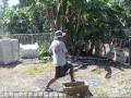 videos de the Deadliest Fruit fighter part 1