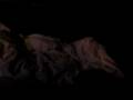 videos de Lexi the Possessed Dog