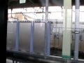 風っこ弥彦菊まつり号弥彦行き車窓新津～矢代田(通過)