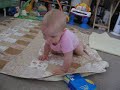 teagan chasing kitties