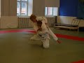 Tai Otoshi