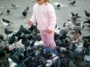videos de My Fear of birds