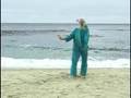 Gratitude-A-Tai-Chi-