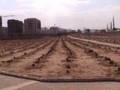 Jannat al Baqi