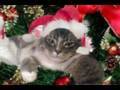 The Christmas Cat Diaries