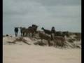 Jericoacoara - Brasil parte 6