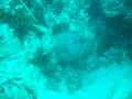 videos de 快感ぁ～んのユカタハタ