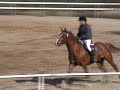 LB Naas 2007 Alingsas Felicia Laroche