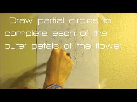 how to draw flower of life