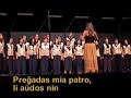 Malfermu belulino Malfermu belulino