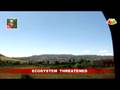 videos de Ecosystem Threatened
