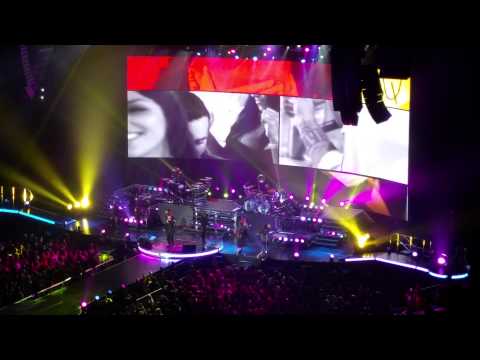 pitbull arena vs