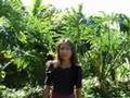 videos de Alice in Wonderland--Part 1