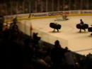 Puck race in Madison Square Garden 2007