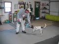 Art of K9Disc: Marking For Release