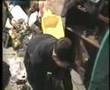 aerosol-can-explosio