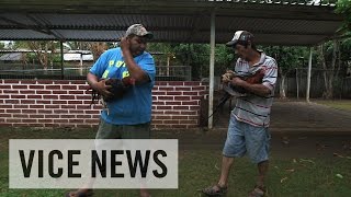 暴力とドラッグのメキシコ(3)政府 vs. 自警闘鶏団