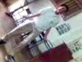 videos de http://www.deademoboy.com/lapansaado