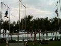 Papa on trapeze