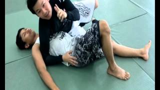 MMA For Beginners