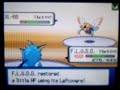 Wifi Battle #31: versus PlusBlink44 (Roulette)