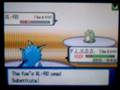 Wifi Battle #31: versus PlusBlink44 (Roulette)