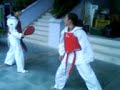 taekwondo del huila