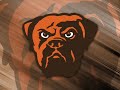 2009 Cleveland Browns Bash: Week 14