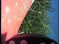 First FPV recording