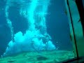 Weeki Wachee \"Fish Tails\" Show Weeki Wachee \"Fish Tails\" Show