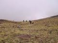 MOV05261.AVI