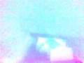 Bauri - Tummy (purple).avi