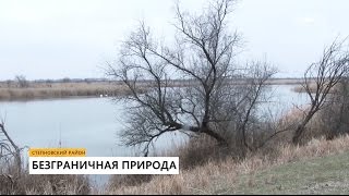 Редкая флора и фауна на востоке Ставрополья под защитой