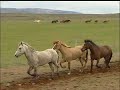 Unforgettable Horse Back Riding Vacation in Iceland