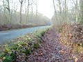 MOV04041.MPG