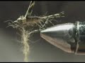 dvd-2 fly taying by ado sanica nimph