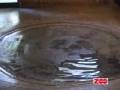 videos de Flamingomad