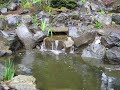 Water Feature Videos Water Feature Videos