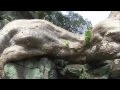 Erinnerungen an Ta Prohm, Bayon und Angkor Wat