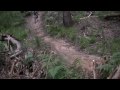 C10 Training Runs