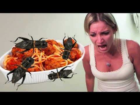 bugs - Find it on Reddit - http://bit.ly/TWtmtl I stuffed crickets into Jeana's meatballs. This was the line that should have never been crossed. Feeding her bugs. ...