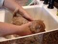 Doogie's First Bath - Part 3