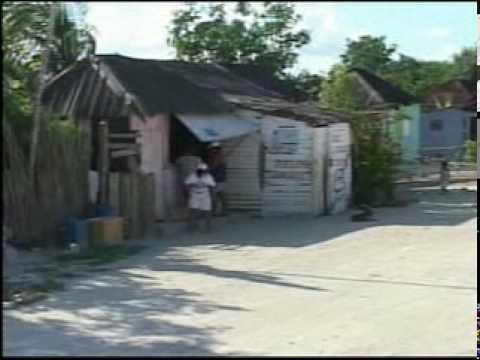 cfact - Filmed in Valle Verde, Mexico by the Committee For A Constructive Tomorrow (CFACT) www.cfact.org Make a difference! Consider partnering with CFACT's SEFED pr...